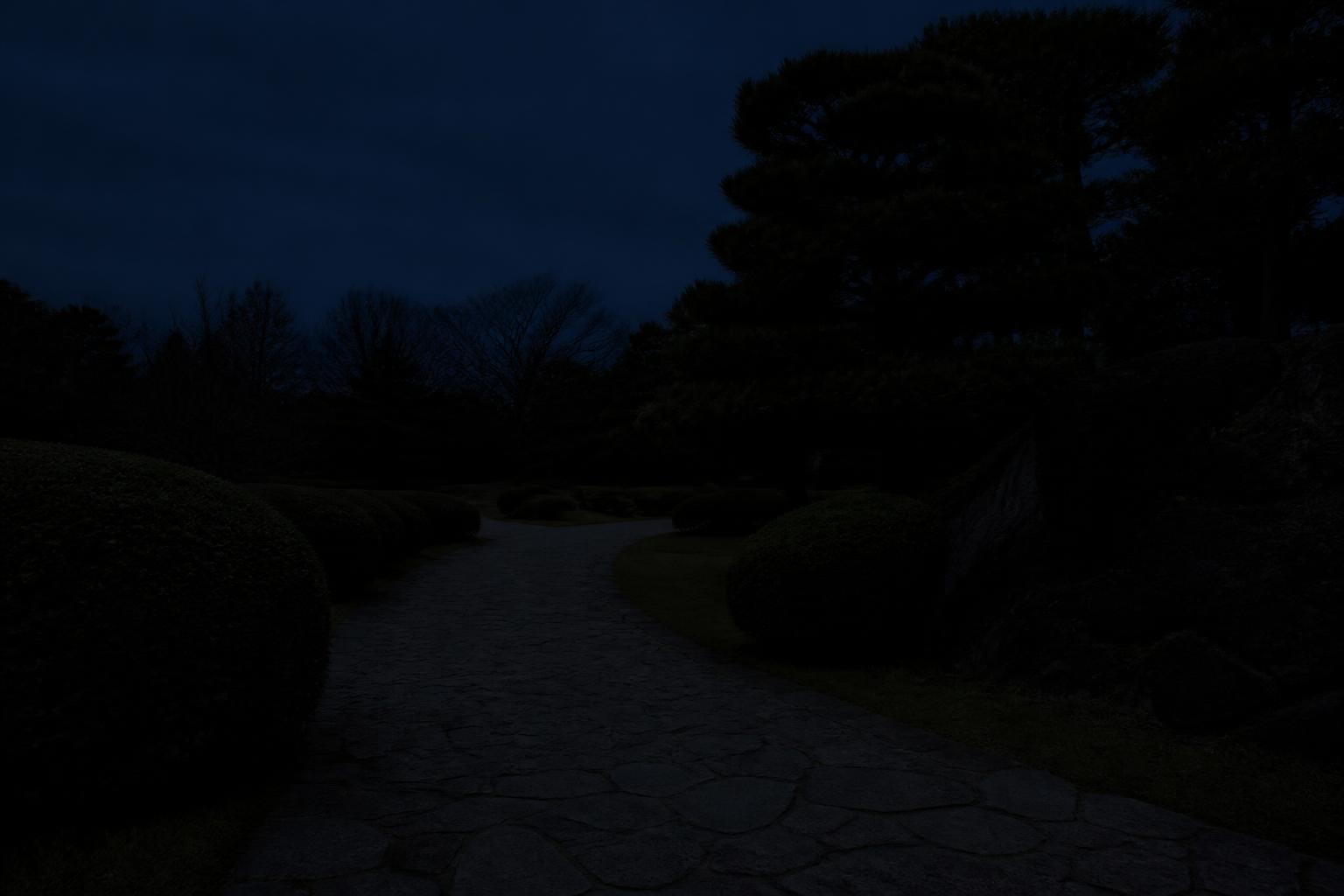 Unlit garden path at night before LUMIVERSE